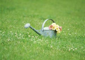 2025年最新版：pawnshopの対策と選び方ガイド｜初心者でもわかる完全解説