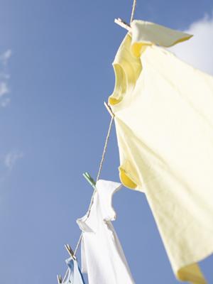 経験と実績が豊富な岡山のシロアリ駆除業者